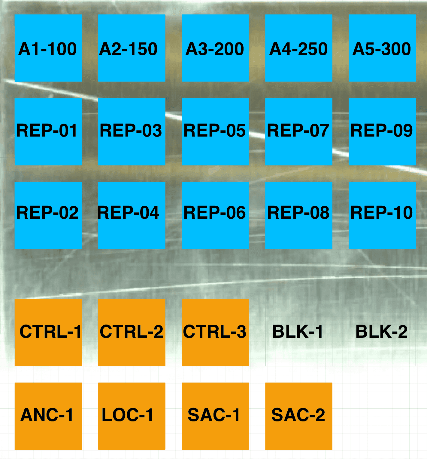 Pre-burn cell map for LAB-0002, labeling all 24 cells by role: TEST speeds A1–A5, REPLICATE cells, CONTROL cells, ANCHOR, BLANK, LOCATOR, and SACRIFICIAL positions