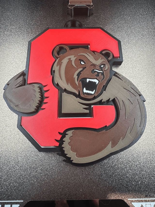 Bears